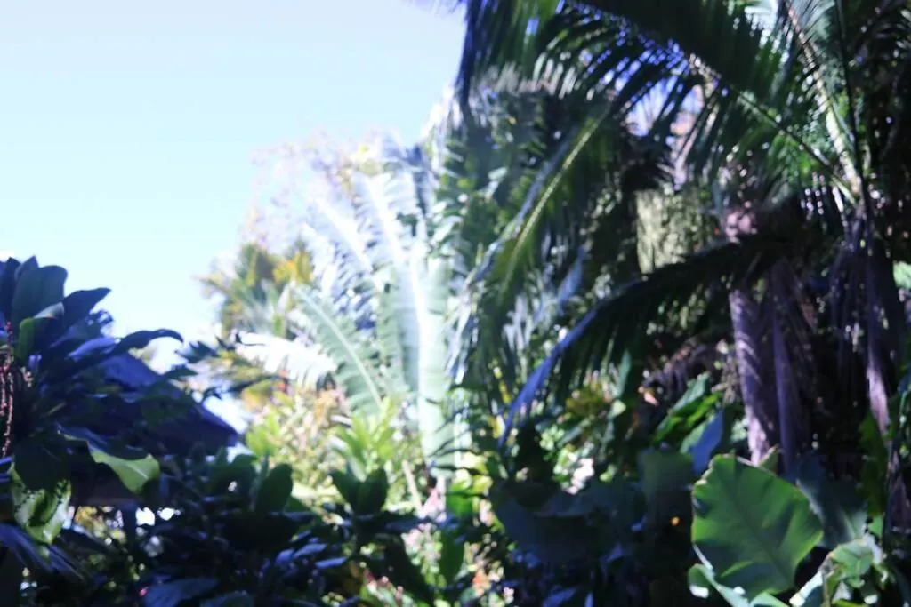 Beauty Tiny Walk To Sea Vila Port Douglas 0*,  Austrália