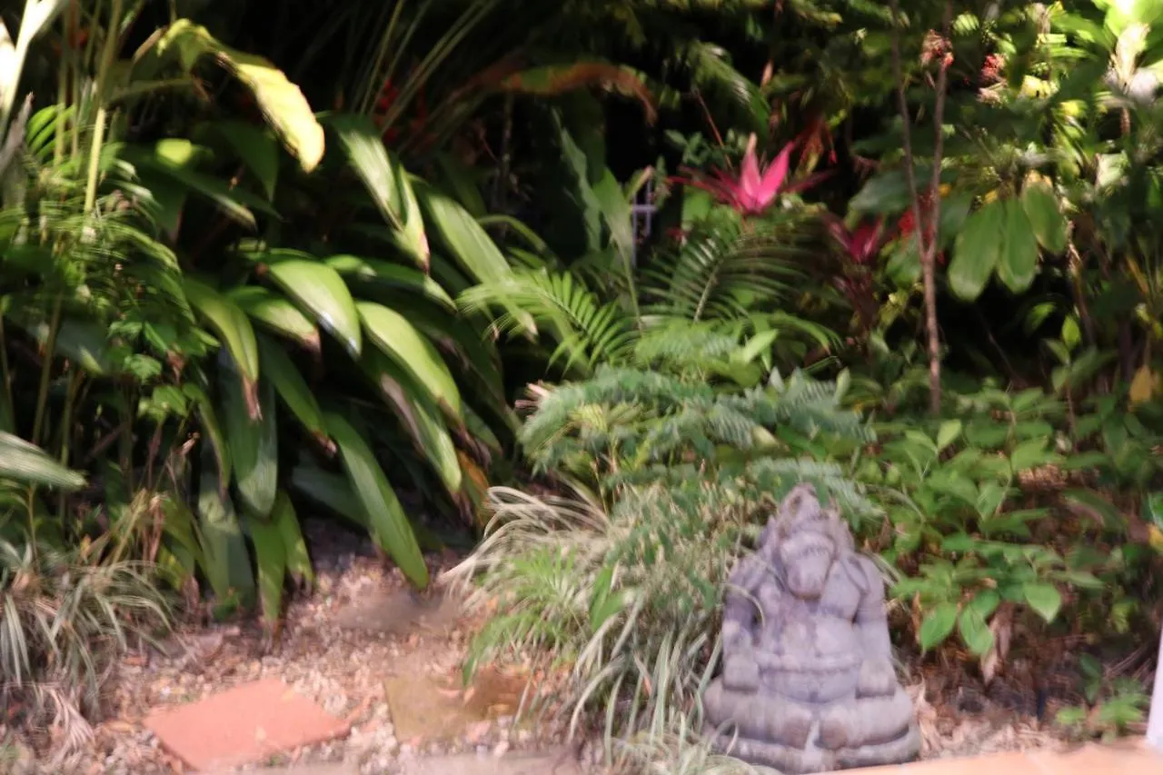 Beauty Tiny Walk To Sea Vila Port Douglas